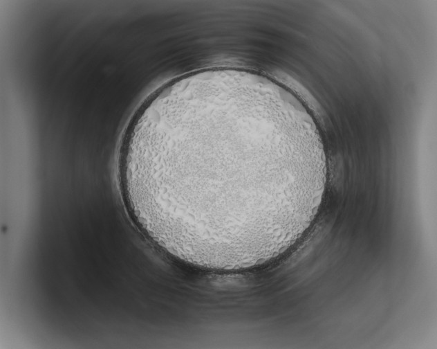 X0000100771043200807171407