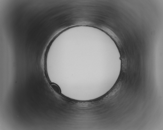 X0000100771046200807171407