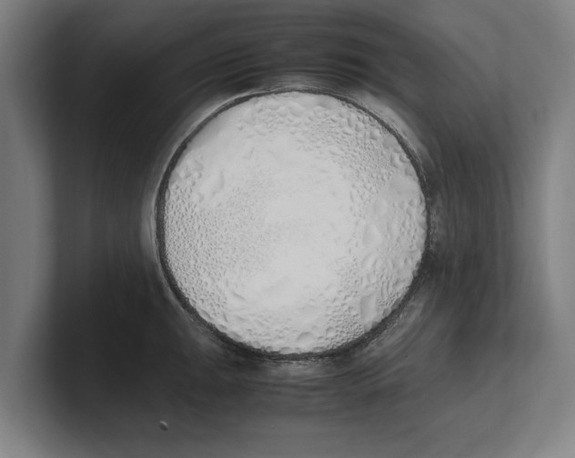 X0000100771047200807171407