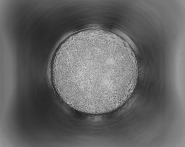 X0000100771051200807171407