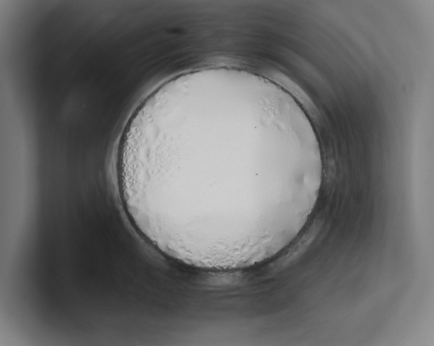 X0000100771055200807171407