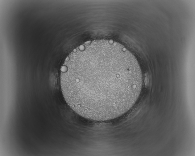 X0000100771059200807171407