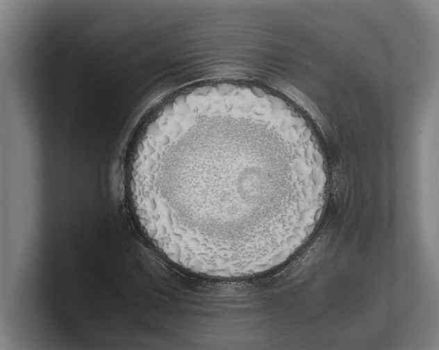 X0000100771067200807171407