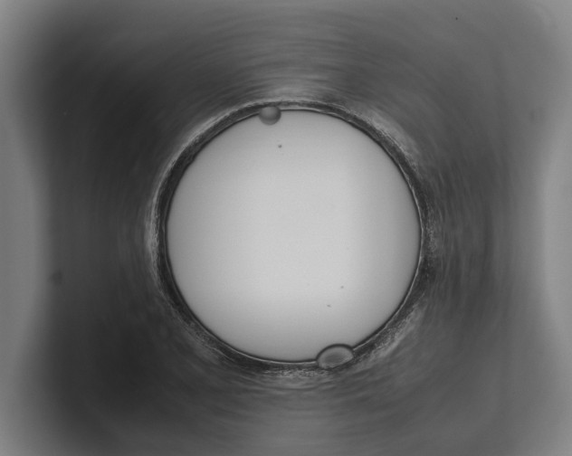 X0000100771077200807171407