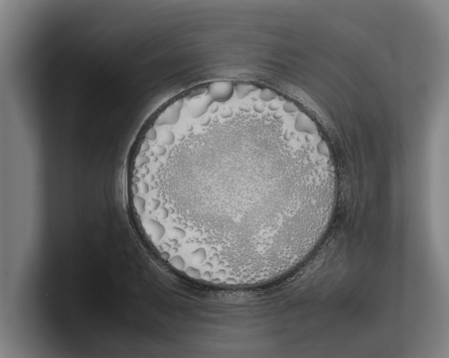 X0000100771079200807171407