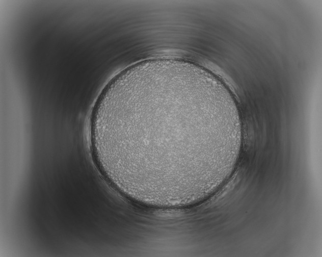 X0000100771083200807171406