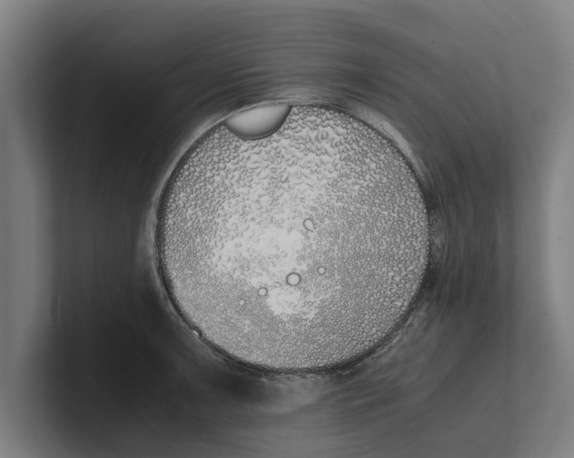 X0000100771091200807171406