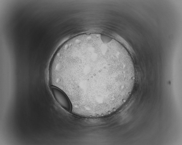 X0000100771095200807171406