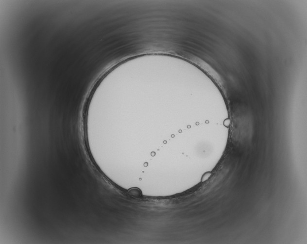 X0000100771096200807171406