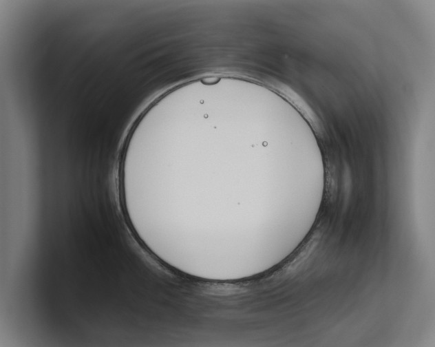 X0000100771100200807171406