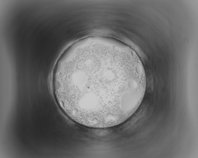 X0000100771103200807171406