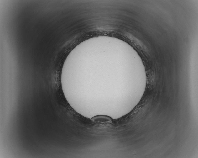 X0000100771110200807171406