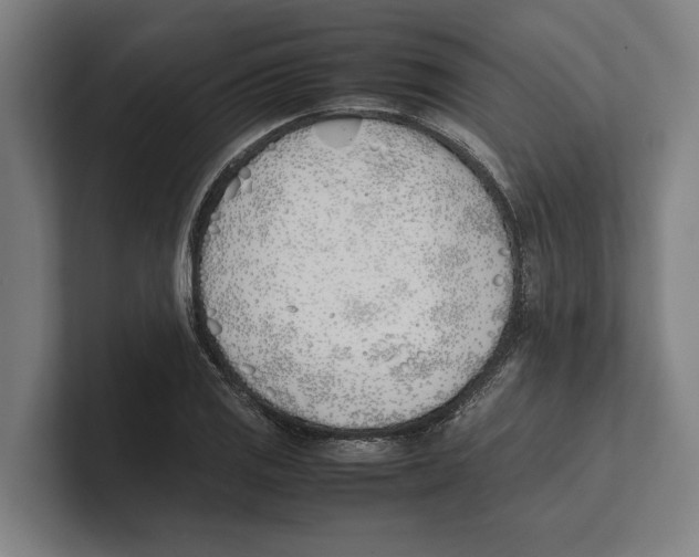 X0000100771125200807171406