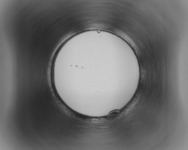 X0000100771138200807171406