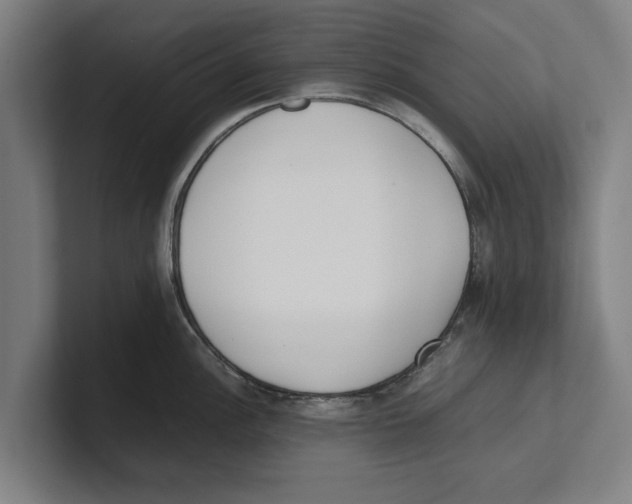 X0000100771148200807171406