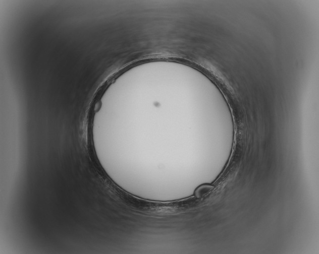 X0000100771173200807171405