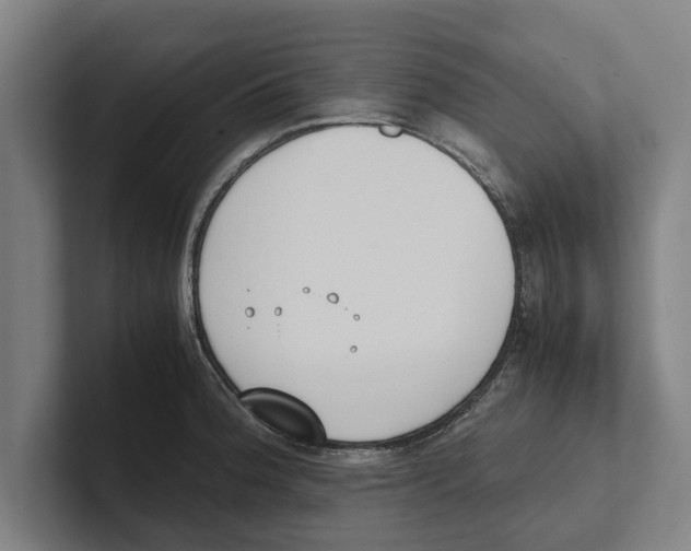 X0000100771188200807171405