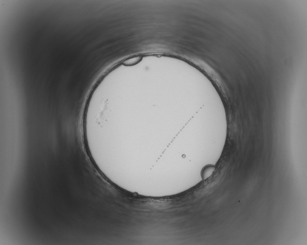 X0000100771191200807171405