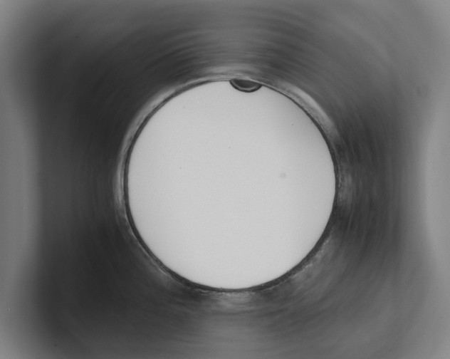X0000100771196200807171405