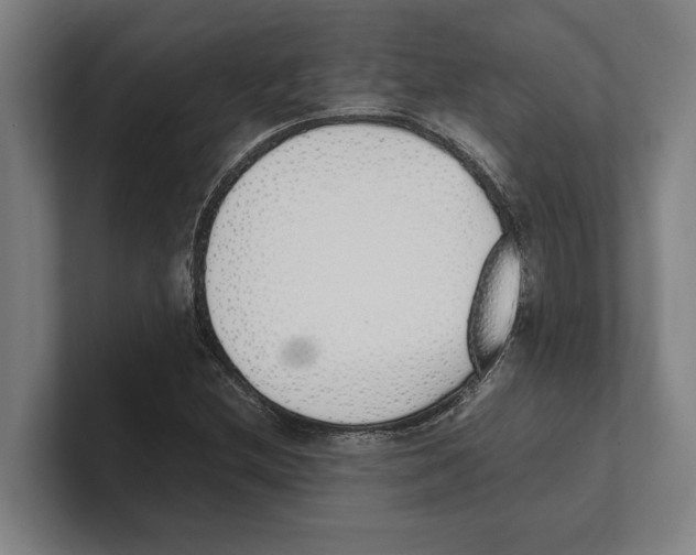 X0000100771212200807171404