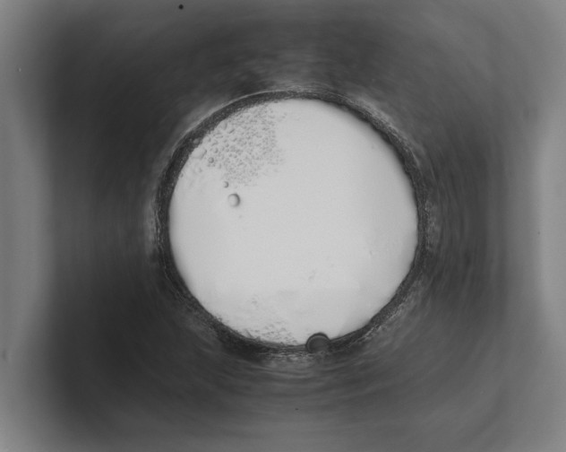 X0000100771215200807171404