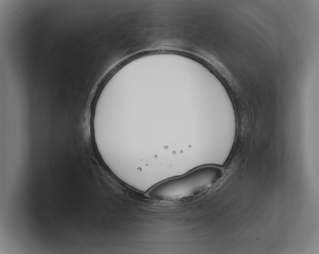 X0000100771224200807171404