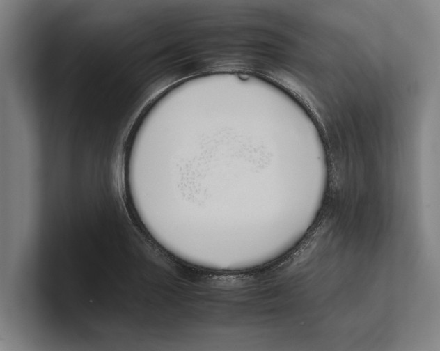 X0000100771227200807171405
