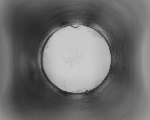 X0000100771235200807171405