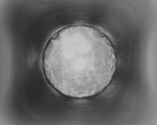 X0000100771239200807171405