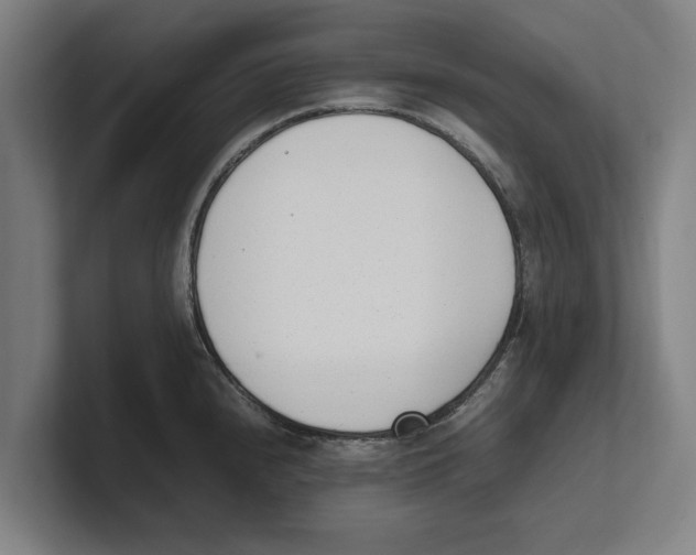 X0000100771240200807171405