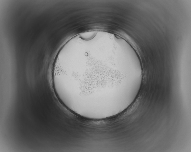 X0000100771243200807171405