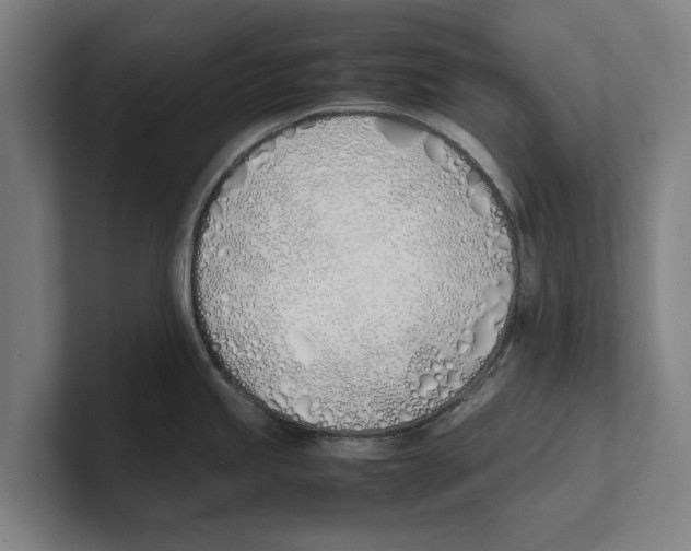 X0000100771245200807171405