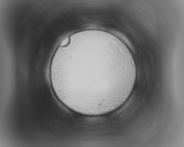 X0000100771247200807171405