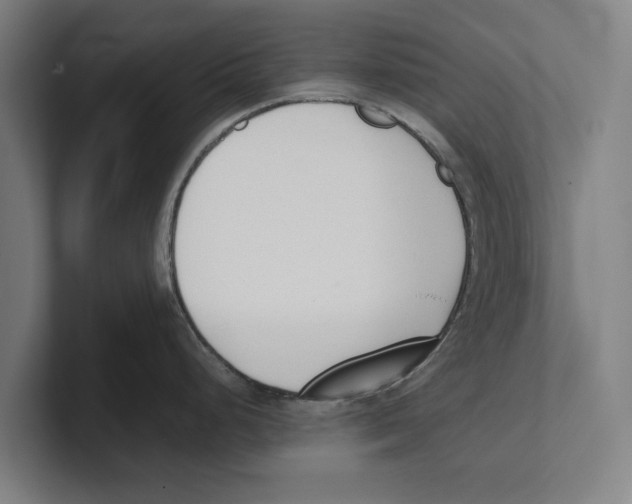 X0000100771248200807171405