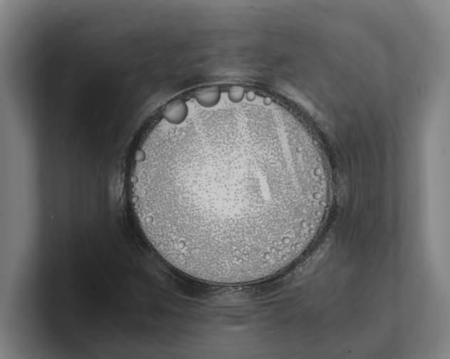 X0000100771259200807171404