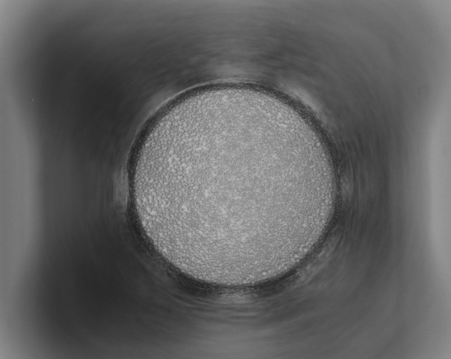 X0000100771267200807171404