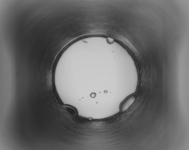 X0000100771268200807171404
