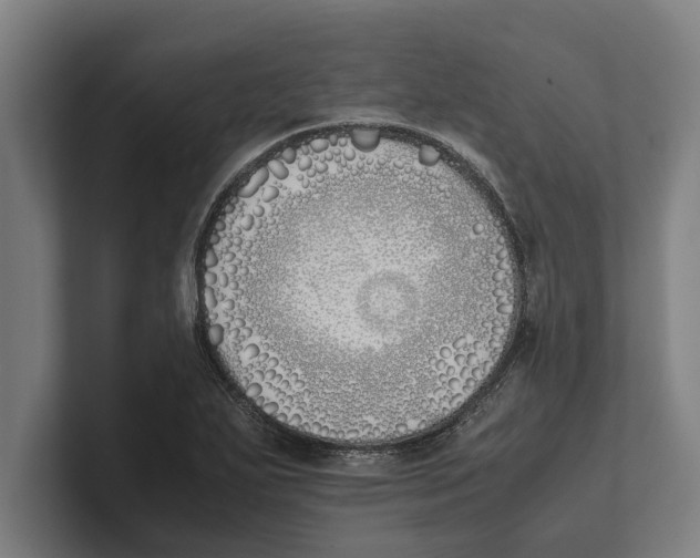 X0000100771271200807171404
