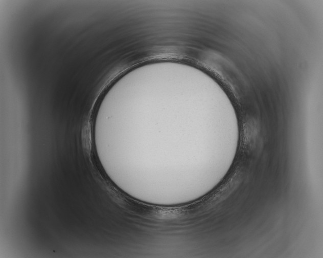 X0000100771274200807171404