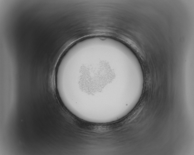 X0000100771275200807171404