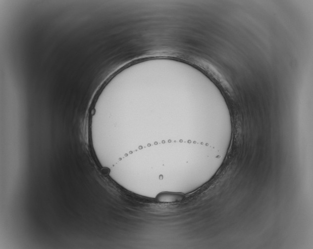 X0000100771276200807171404