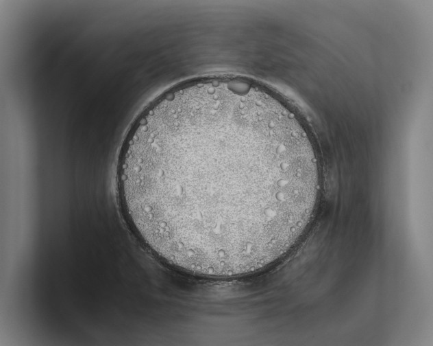 X0000100771279200807171404