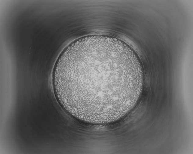 X0000100771283200807171404