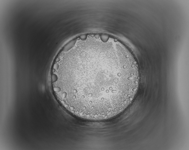 X0000100771287200807171404
