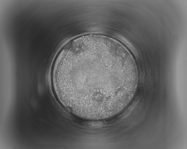 X0000100771291200807171404