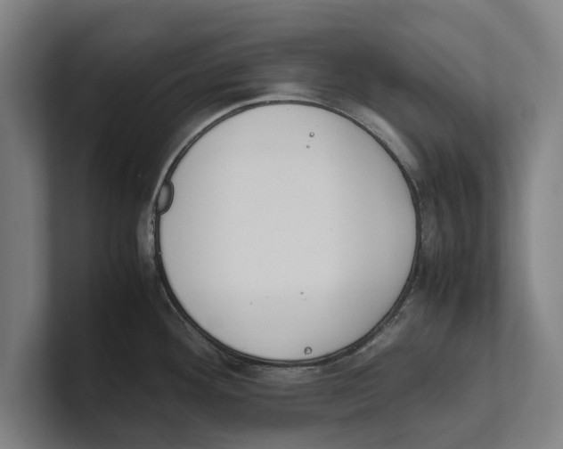 X0000100771292200807171404