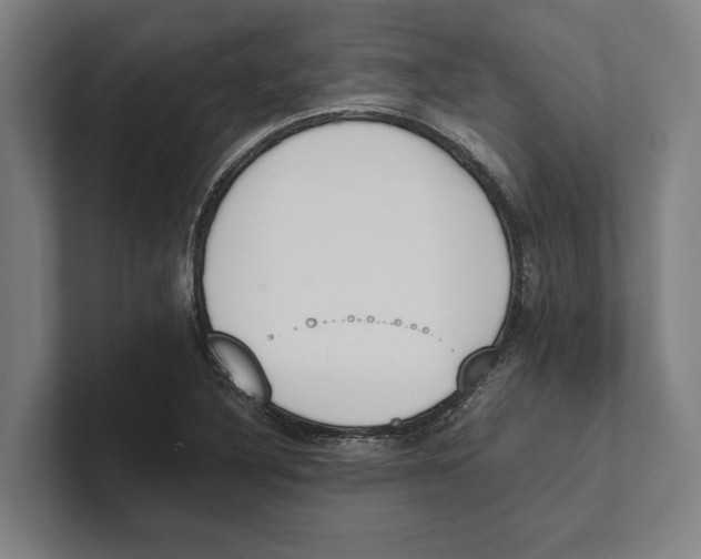 X0000100771316200807171403