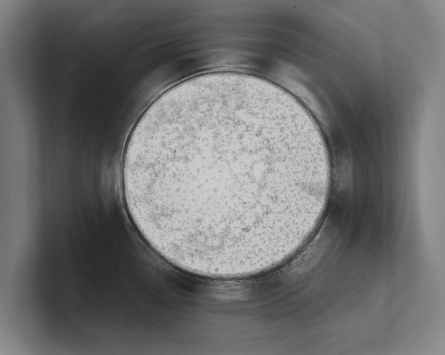 X0000100771338200807171403