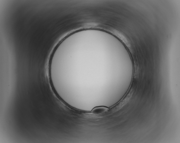 X0000100771342200807171403