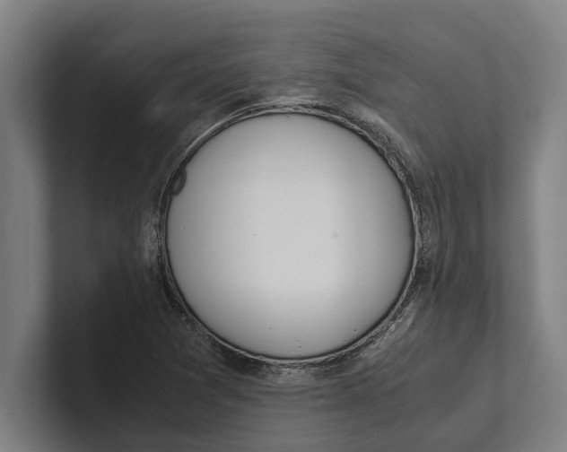 X0000100771361200807171403